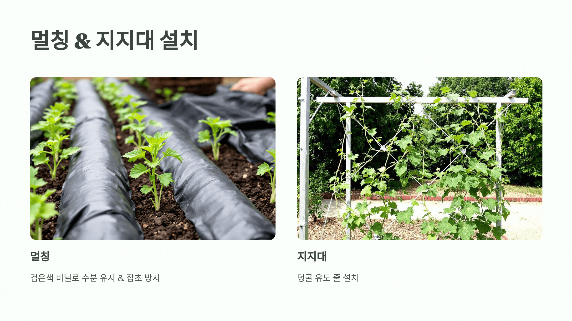 수박 사진입니다.