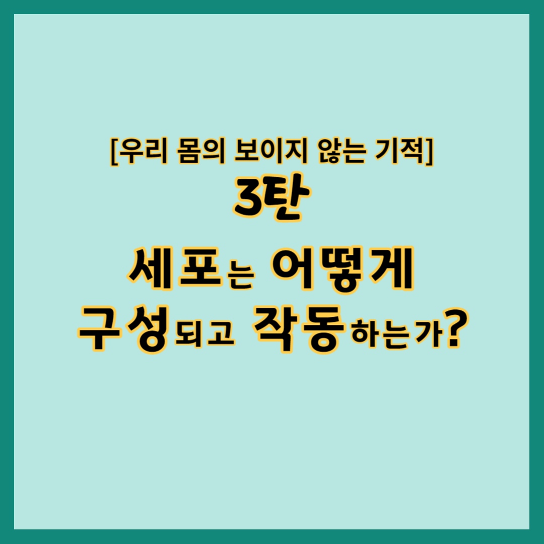 우리 몸의 보이지 않는 기적 3탄 세포는 어떻게 구성되고 작동하는가?, 세포의 구성, 세포의 작동원리