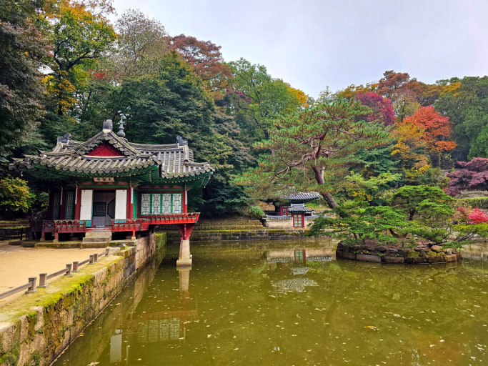 창덕궁 후원 비원이미지