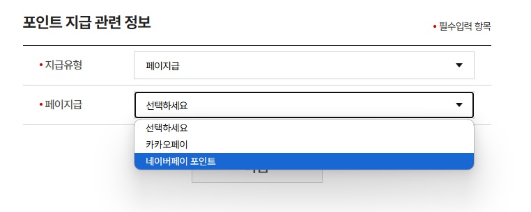 페이
