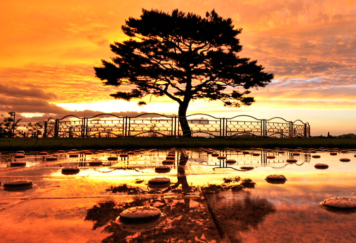 정선 타임캡슐공원 : 역사·주변 명소·숙박 팁까지 총정리!