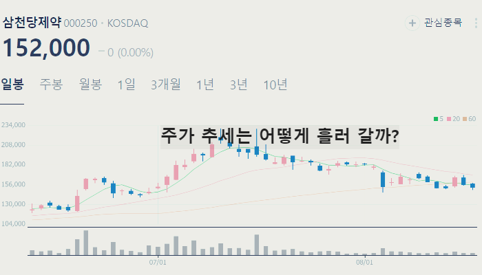 비만 치료제 관련주 대장주 TOP10