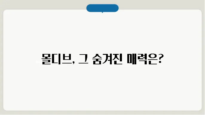 몰디브 수도, 인구, 종교