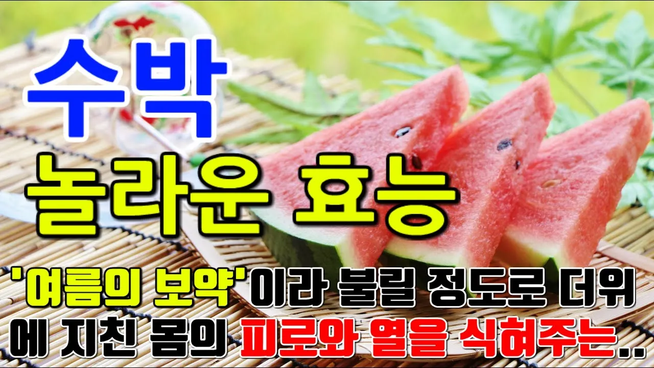 수박 효능_1