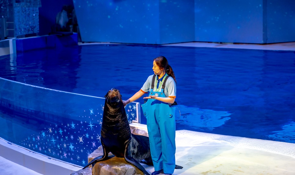 제주 동쪽 가볼만한곳 (오션 아레나)