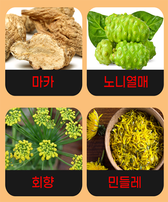 피에스엔오원_부원료-마카-노니열매-회향-민들레