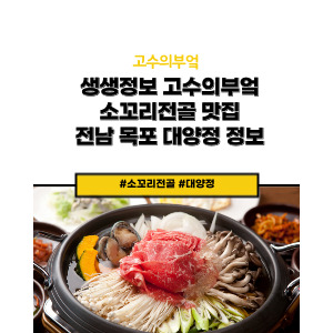 목포대양정