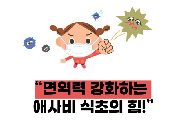 애사비 식초 효능