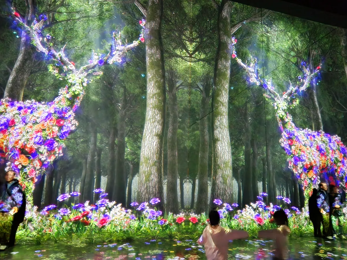 강릉-아르떼뮤지엄-두마리-사슴-배경