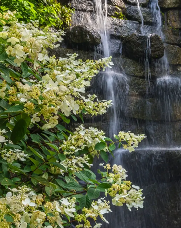 화담숲-입장료-할인-운영시간