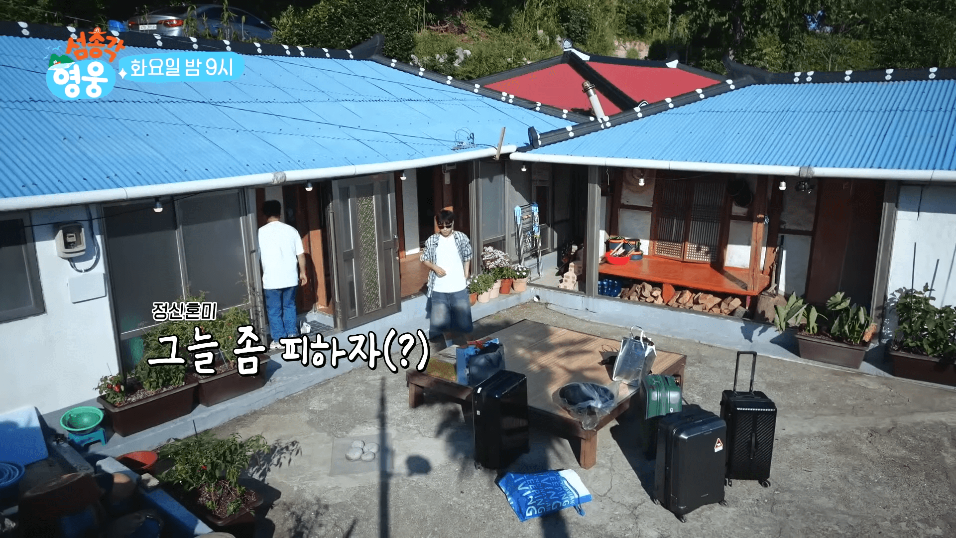 임영웅 섬총각 영웅