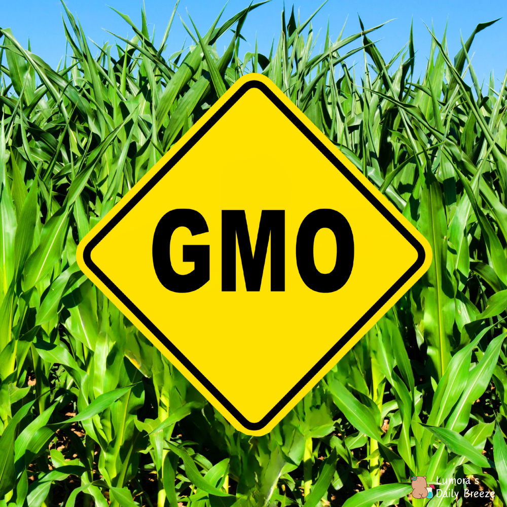 GMO 유전자변형식품 완벽 가이드 (개념, 안전성 논란, 국내 수입 현황 및 표시제)