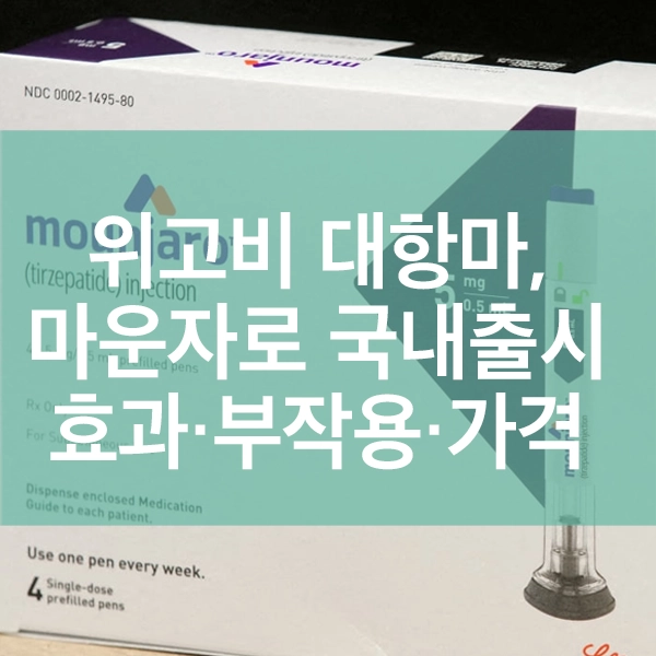 위고비 대항마, 마운자로 국내출시