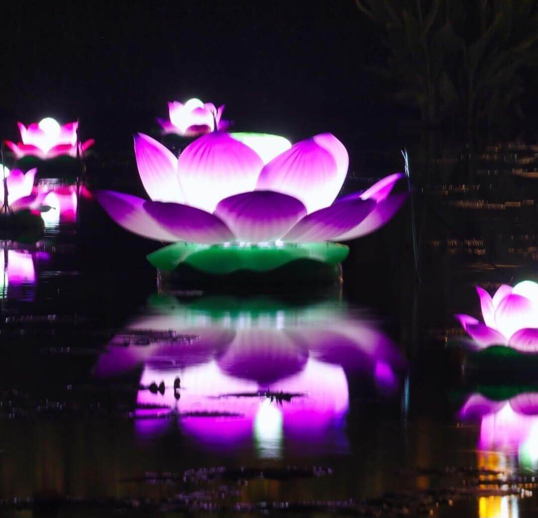 부여서동연꽃축제