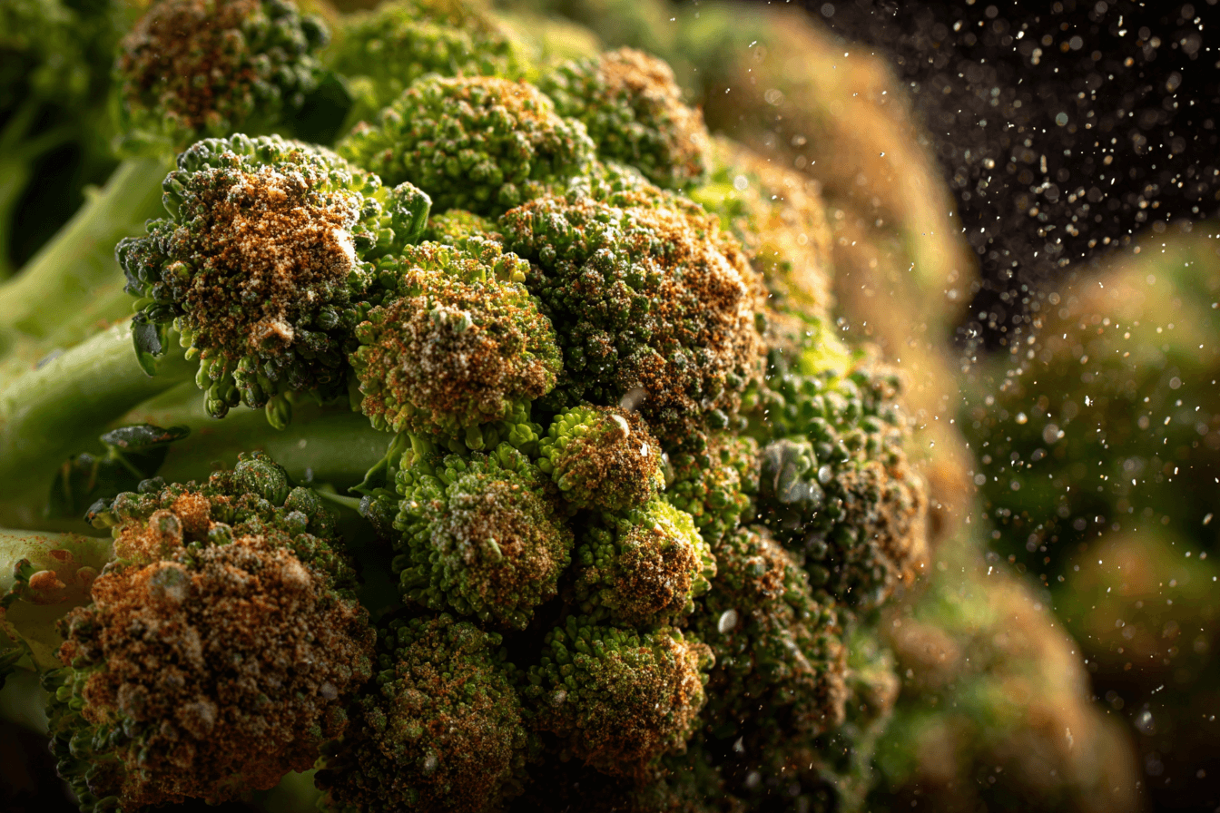 곰팡이-핀-곰팡이-확대-이미지