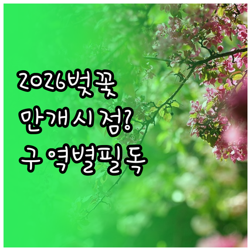 2026 동두천 벚꽃 나들이 정보 및..