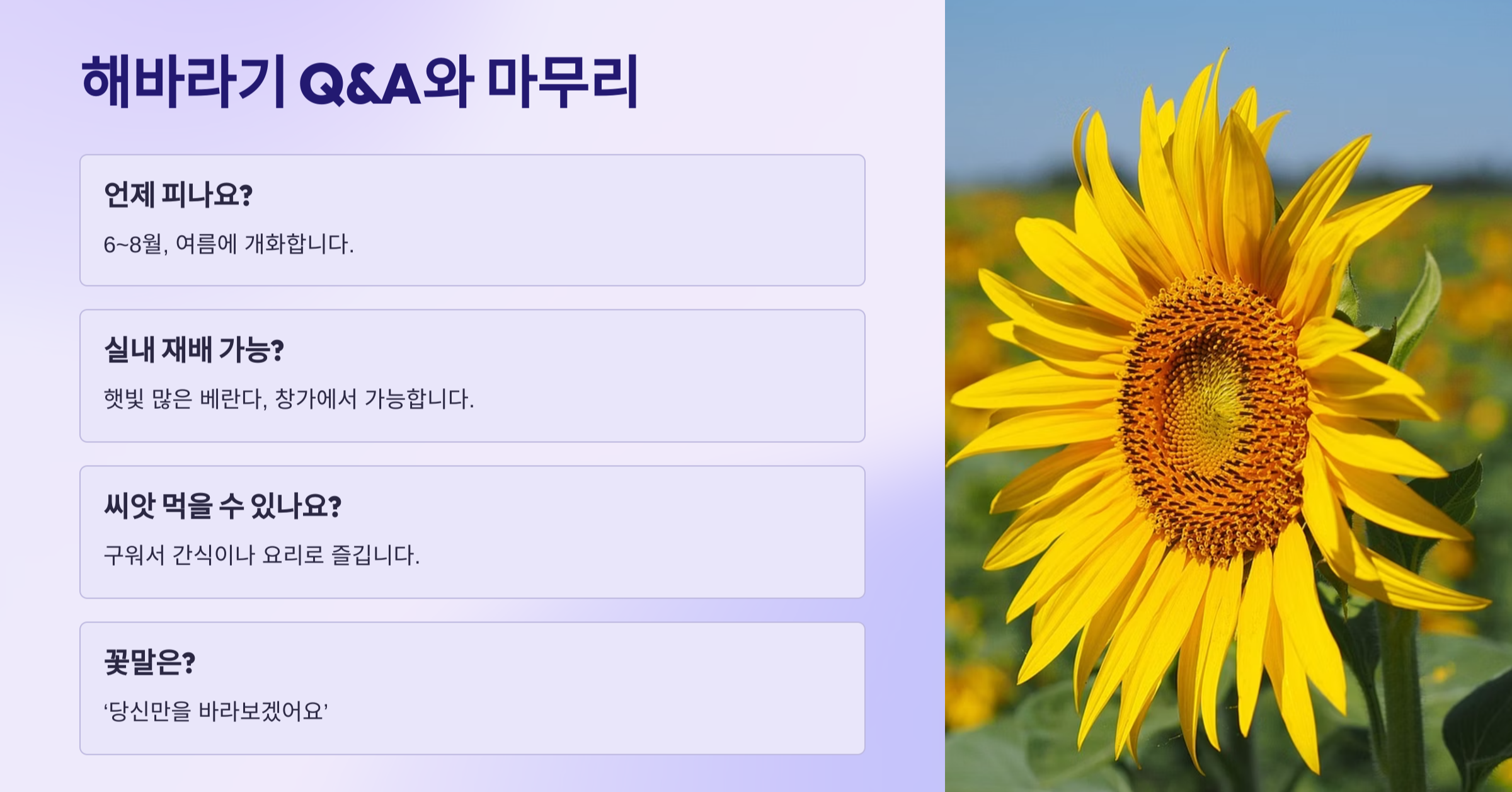 질문