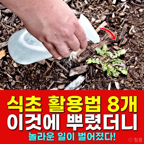 식초 활용법 식초잡초 천연제초제 만들기