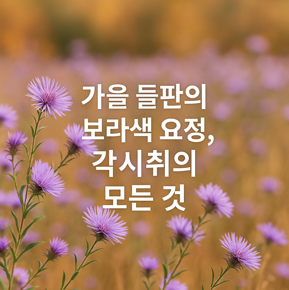 가을 들판의 보라색 요정, 각시취의 모든 것