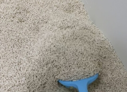 고양이두부모래 고양이모래