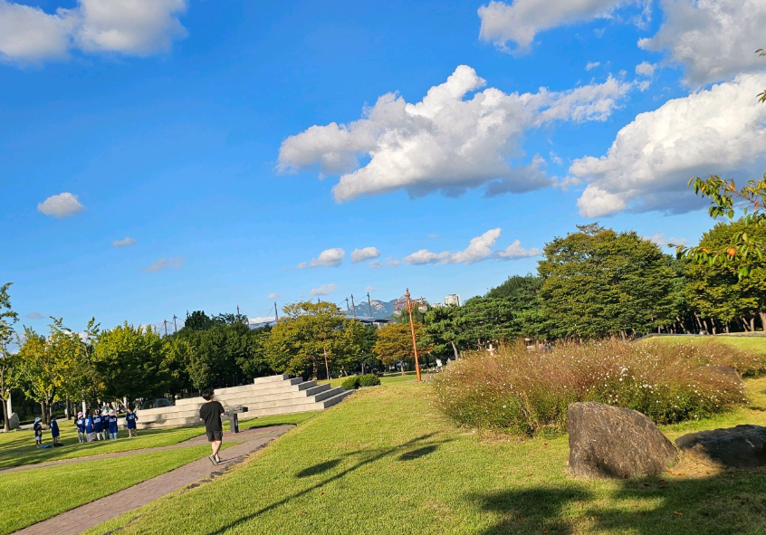 하늘공원 억새축제