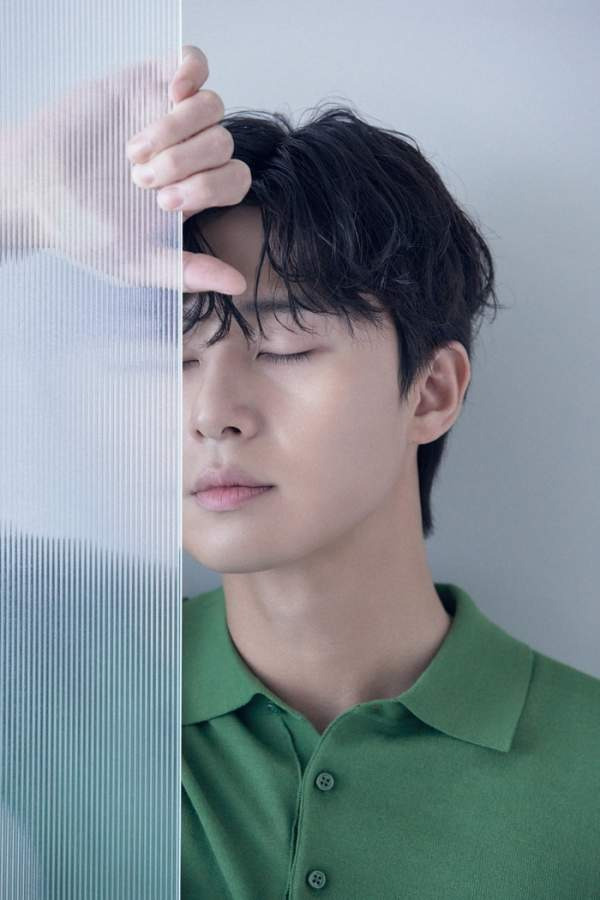 박서준 나이 프로필 학력 고향 작품: '꽃보다 청춘 리미티드 에디션' 납치 전말부터 최신 근황까지