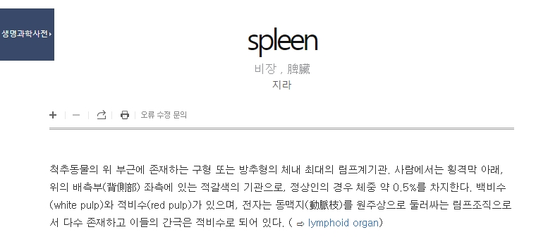 생명과학사전의 지라(비장) 설명 페이지