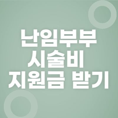 난임부부시술비지원금