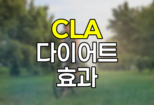 CLA 다이어트 효과와 주의점