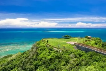 오키나와 국제거리 돈키호테에서 구매 가능한 술 종류 소개_12