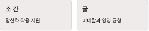 비타민C 많은 소간&amp;#44;굴