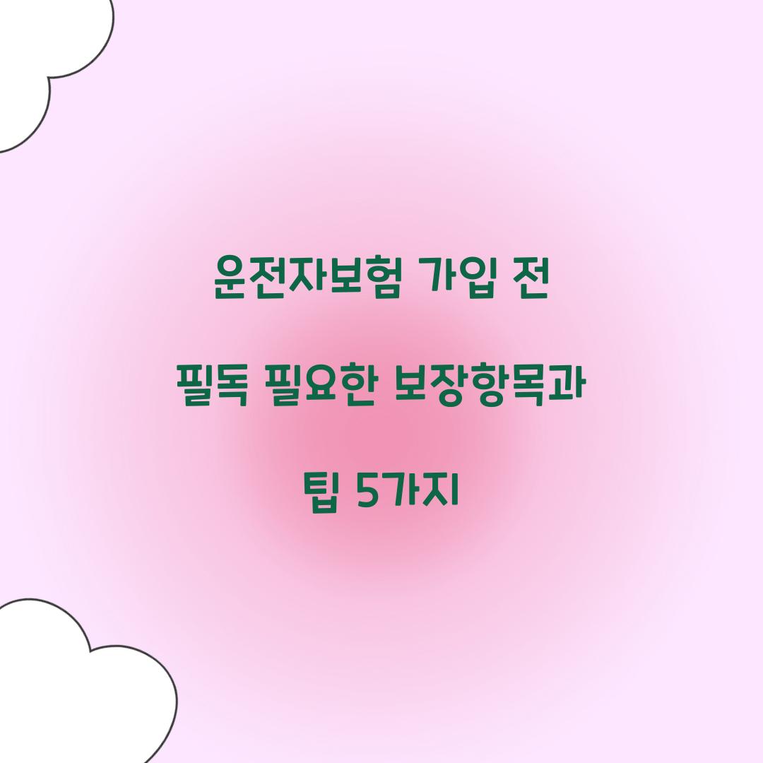 운전자보험 가입 전 필독