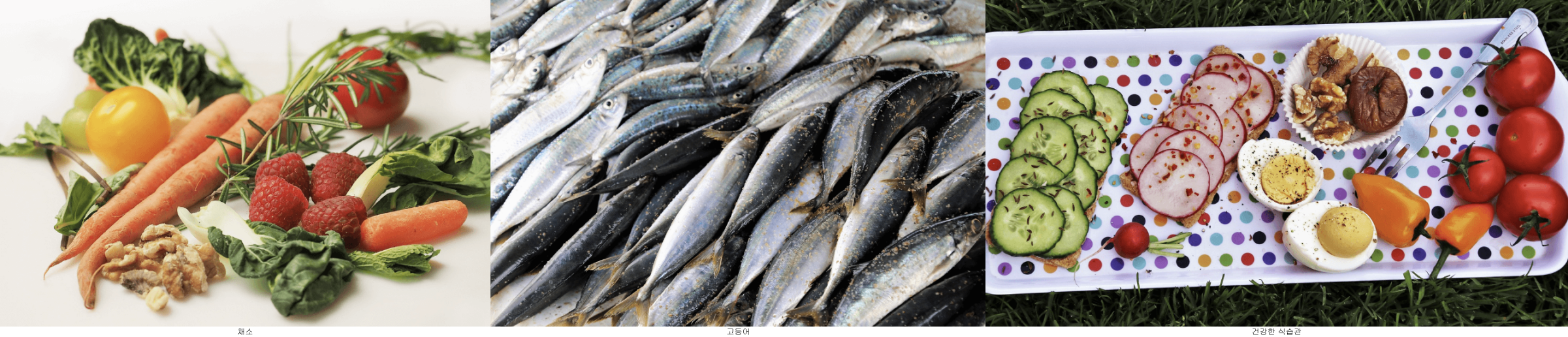 균형 잡힌 식사