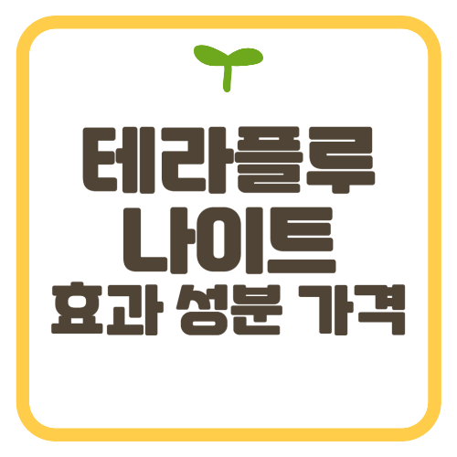 테라플루 나이트 타임 가격 효과 성분