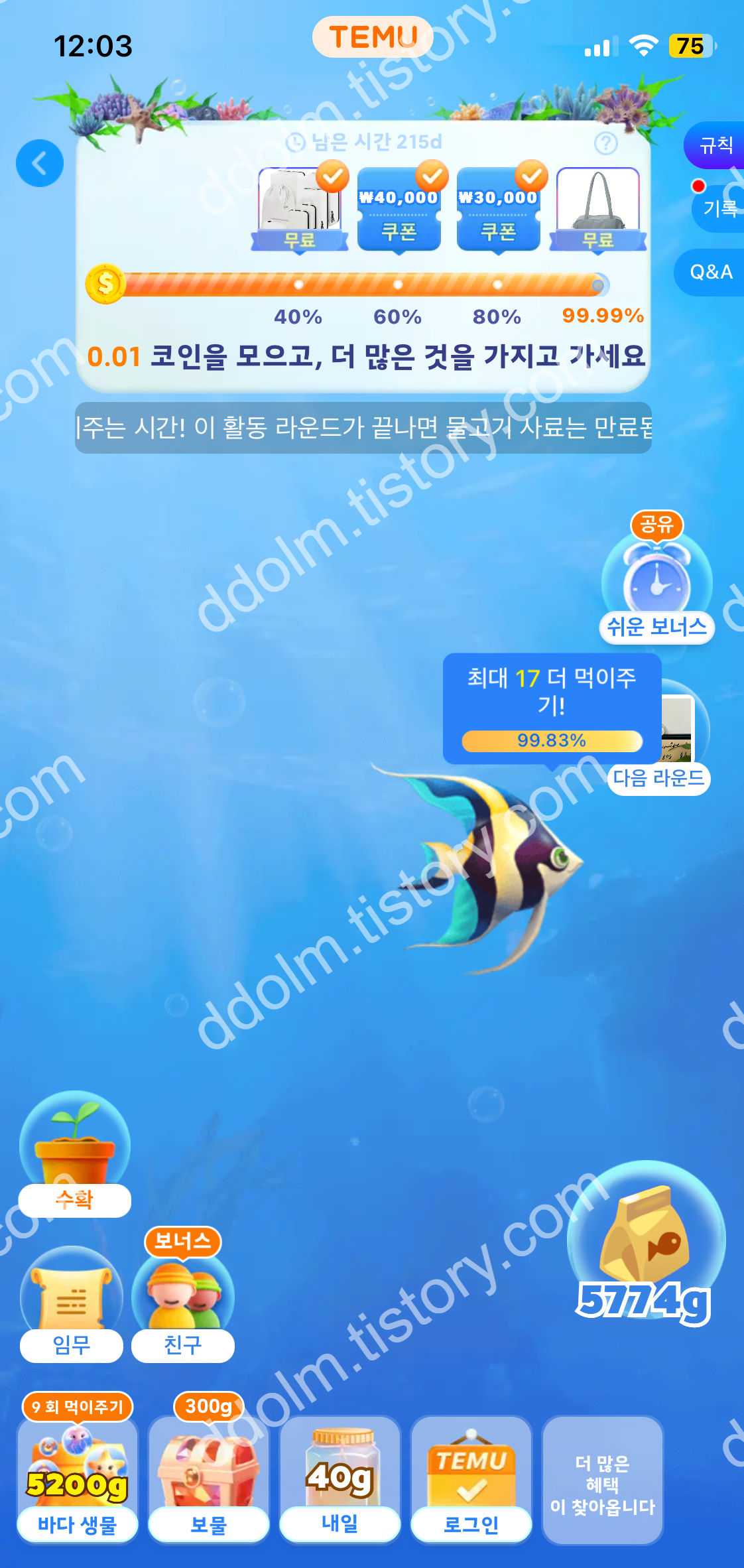 테무 피쉬랜드 완료 상품 품절