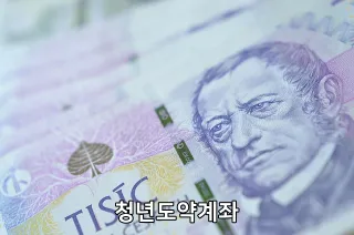 청년도약계좌