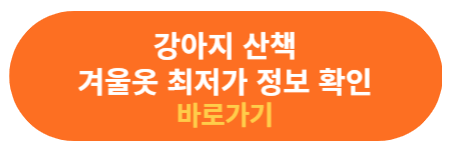 강아지 겨울 옷 정보 확인하기