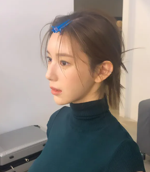 야옹이 작가