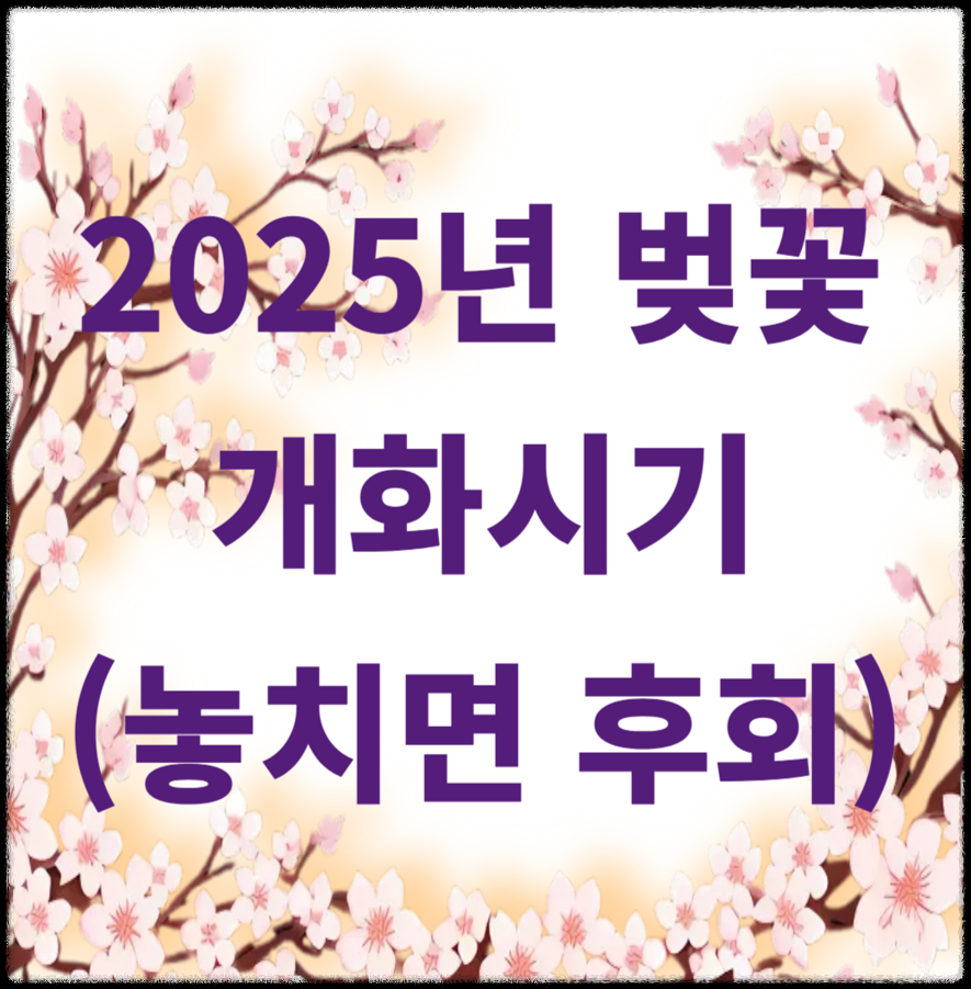 2025년 벚꽃 개화시기