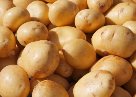 감자의 냉동보관 방법과 장단점 찐감자(삶은감자), 생감자(깐감자)