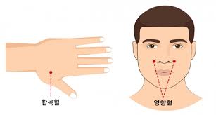 건강보험 적용되는 (알레르기, 비염) 한방치료