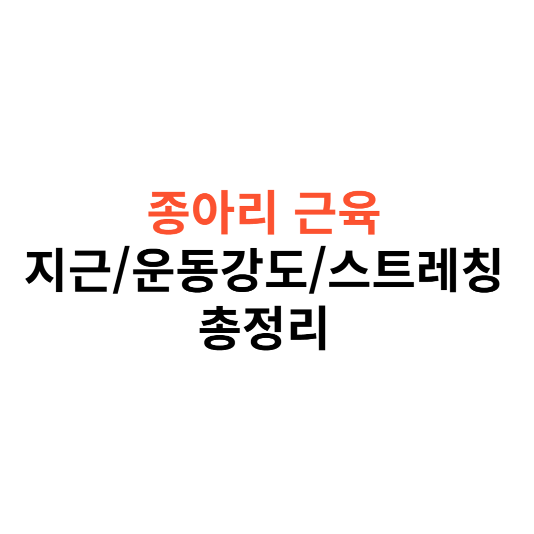 종아리 근육