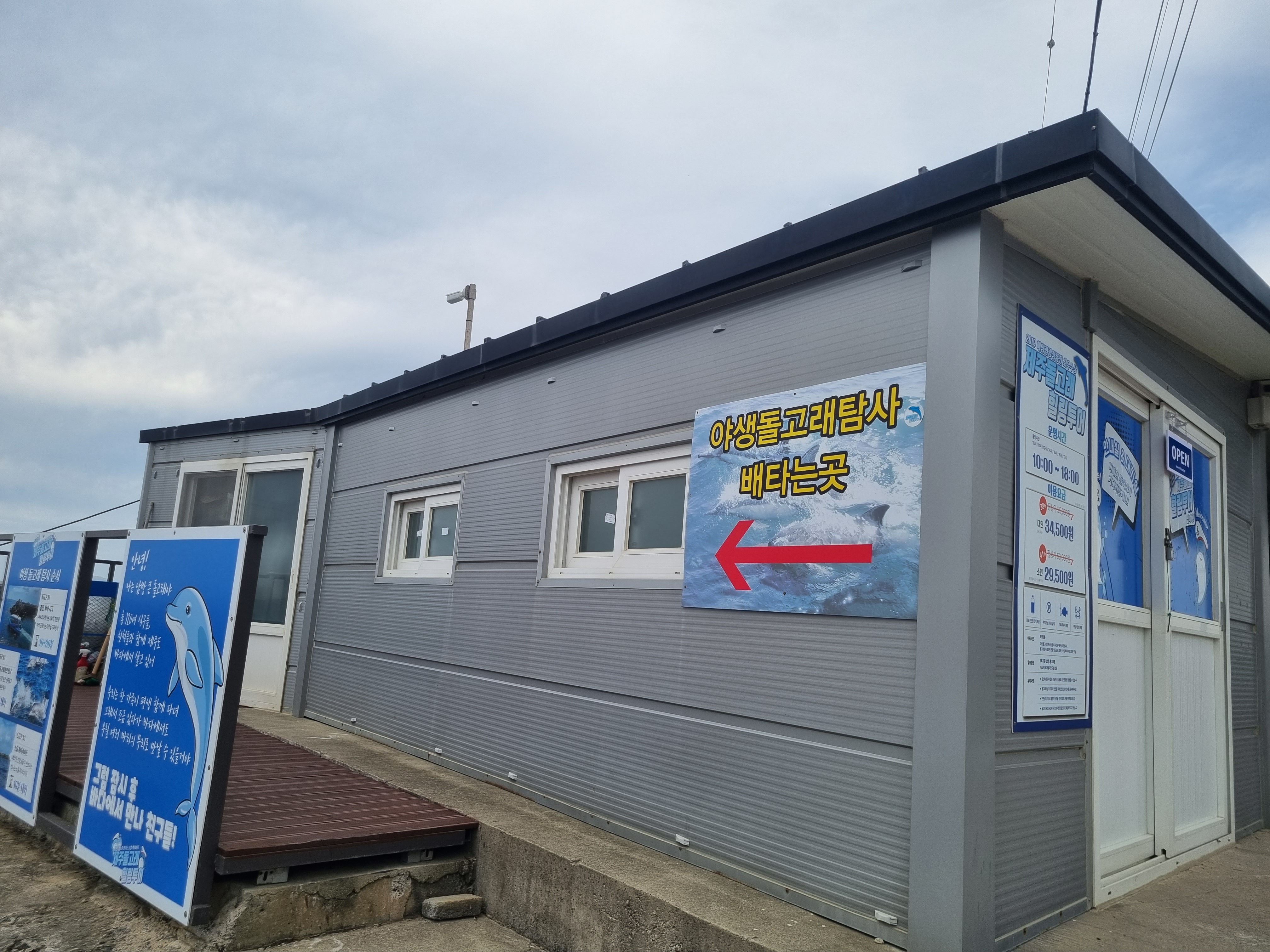 제주돌고래 힐링투어