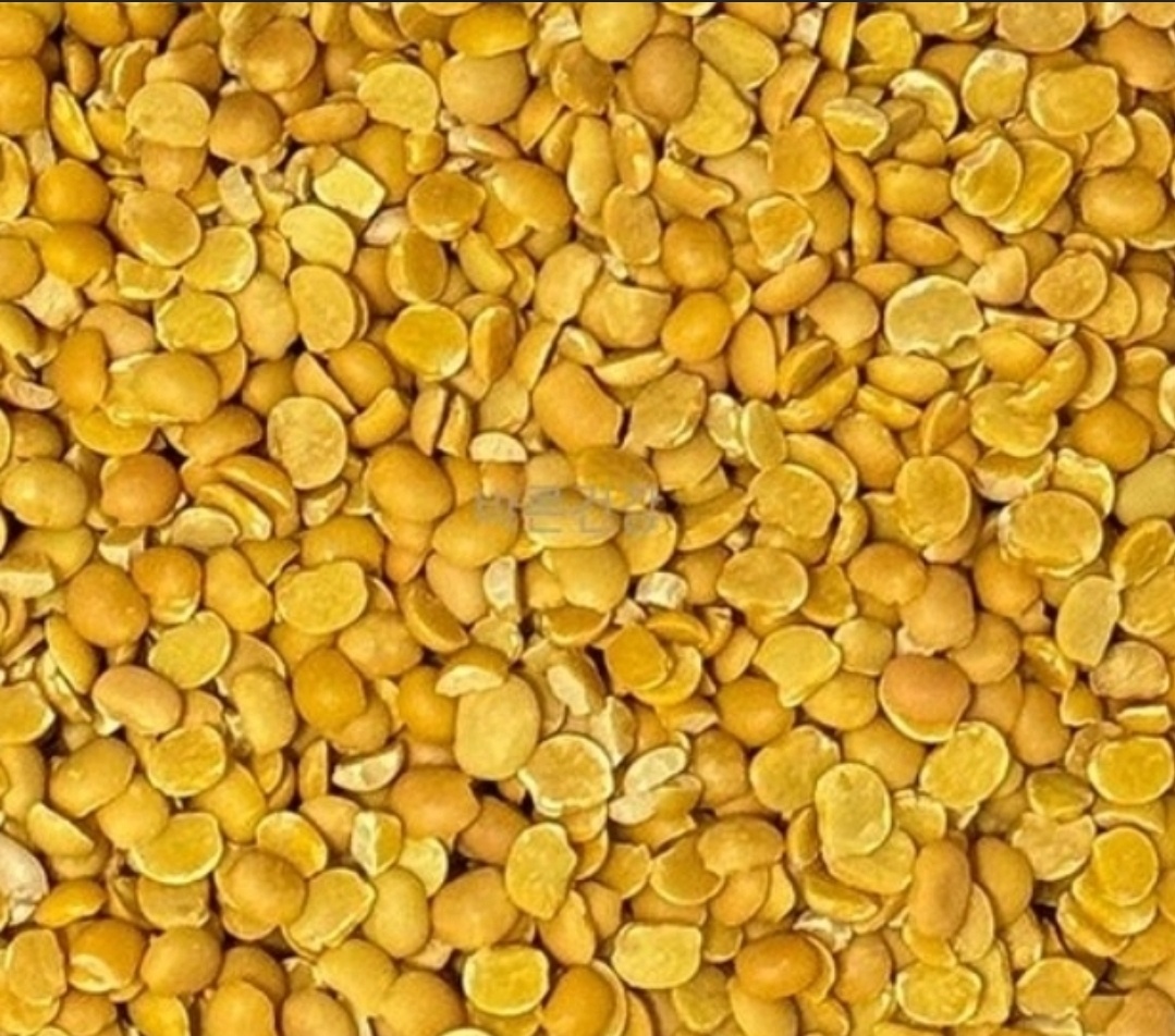루핀콩