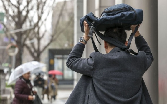 중금속이 탈모를 유발하는 과정 (독소축적, 혈액순환, 모발영양)