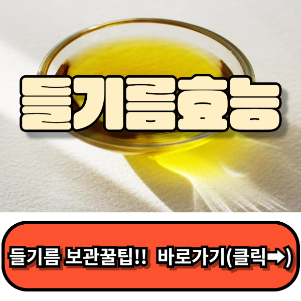 들기름효능과 부작용,들기름막국수 꿀팁 대방출