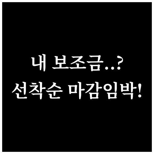 거주 지역별 전기차 보조금 예산 확인..
