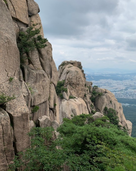 '피톤치드' 걷기좋은 휴양림 BEST 8곳