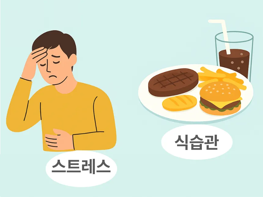 과민성 대장증후군 원인