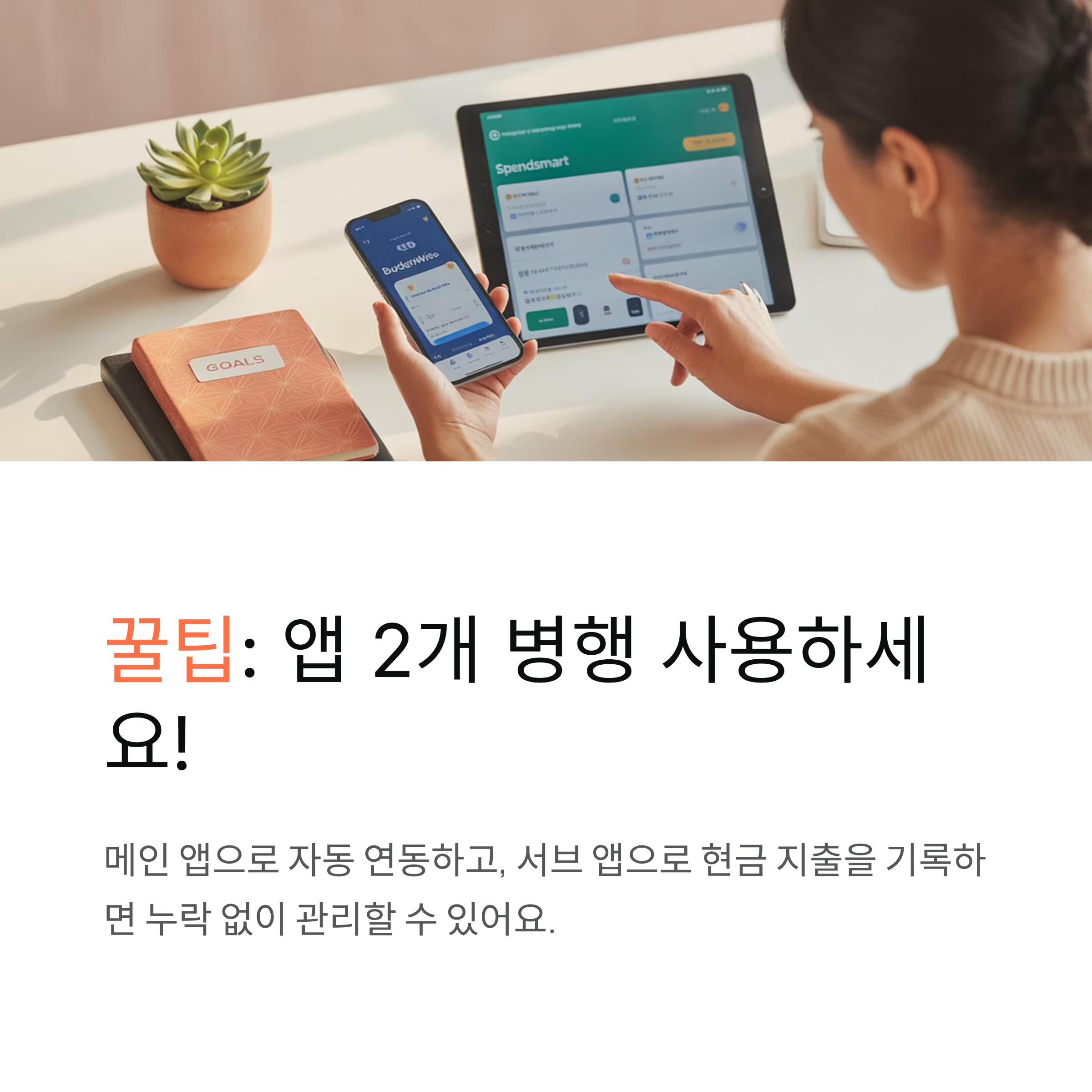 생활비 절약 앱 병행하기